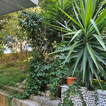 Comfort Appartamento Tirana