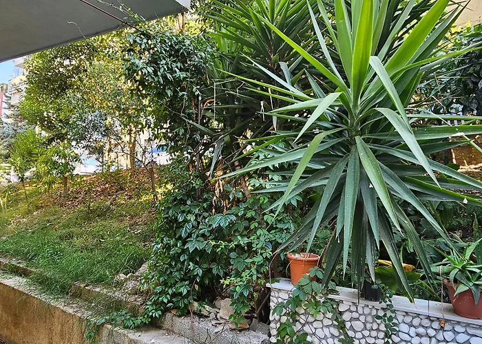 Comfort アパート ティラナ