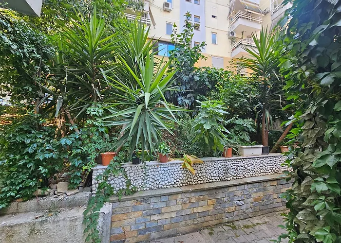 Comfort ティラナ