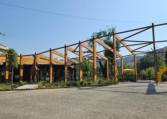 Comfort ティラナ